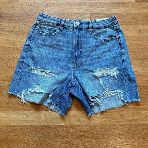 NWT AE distressed Baggy Mom short with comfort stretch waistband 6/28W - Picture 2 of 9